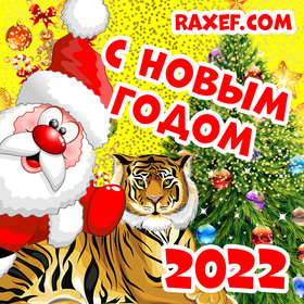 Поздравление с новым годом 2022! Открытка с тигром, дедушкой Морозом, ёлочкой и красивыми поздравительными надписями! С новым годом тигра! Поздравление для друзей, коллег, родных и близких, любимых людей! Яркая картинка 2022! скачать открытку бесплатно | 123ot